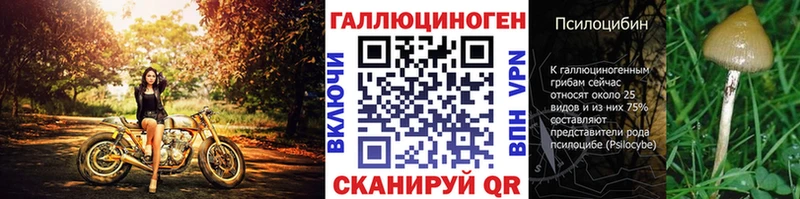 где продают наркотики  Карталы  mega ссылки  Псилоцибиновые грибы Psilocybine cubensis 