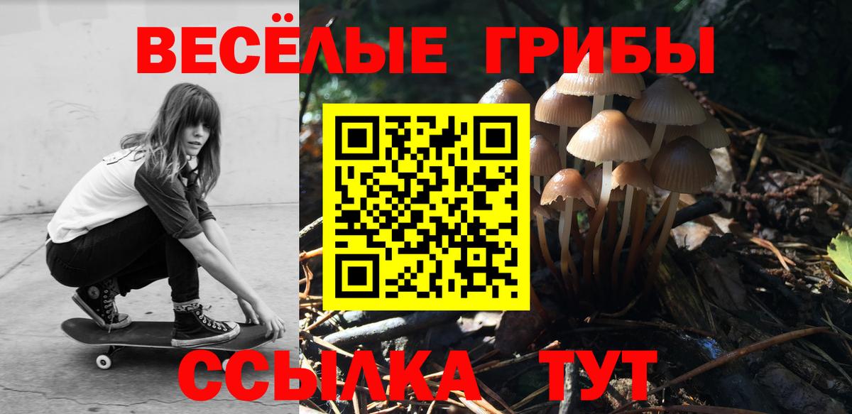 Галлюциногенные грибы мицелий Карталы