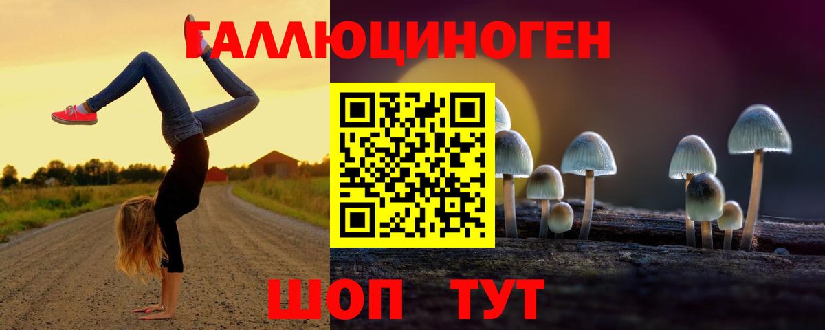 Карталы  Галлюциногенные грибы прущие грибы  Псилоцибиновые грибы Psilocybe  Вход с VPN 